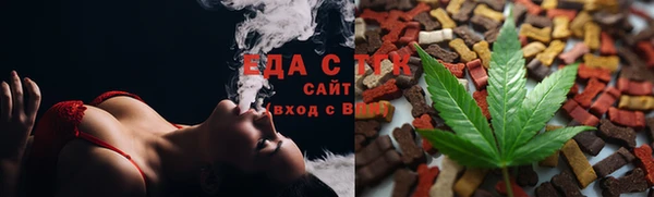 СК Алексин