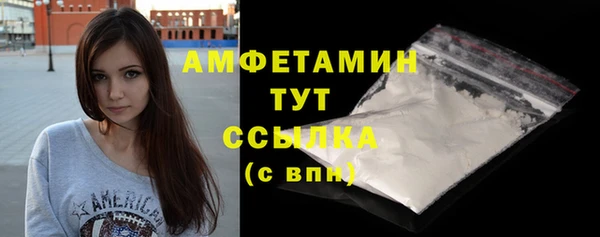 СК Алексин