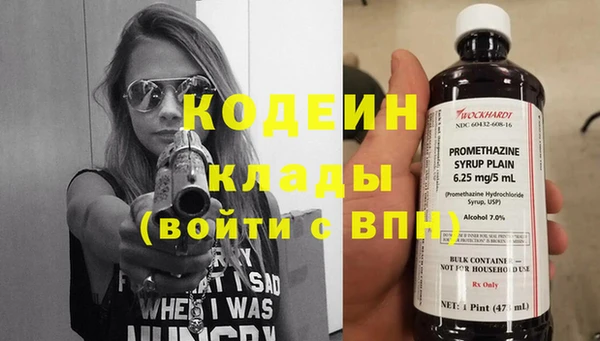 apvp Алзамай