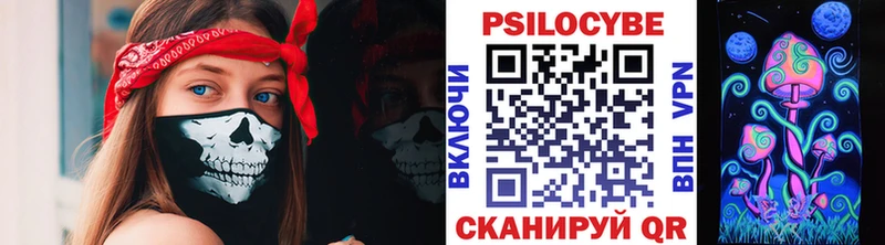 кракен tor  Кимовск  Псилоцибиновые грибы мицелий 