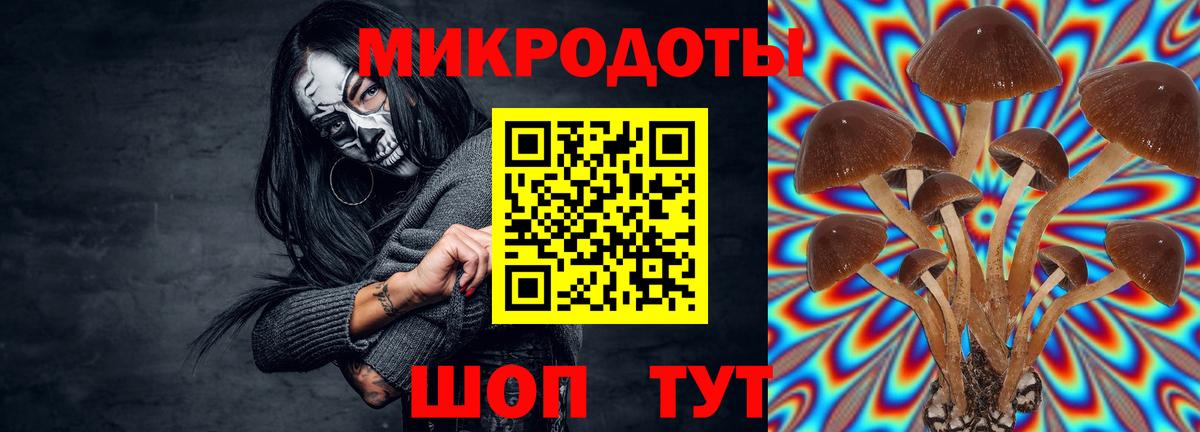Псилоцибиновые грибы мицелий Кимовск