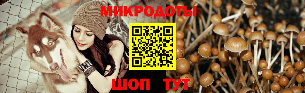 Кимовск  Галлюциногенные грибы Cubensis  Вход с VPN  Псилоцибиновые грибы Psilocybine cubensis 