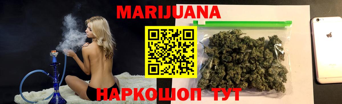 Бошки Шишки планчик Кимовск
